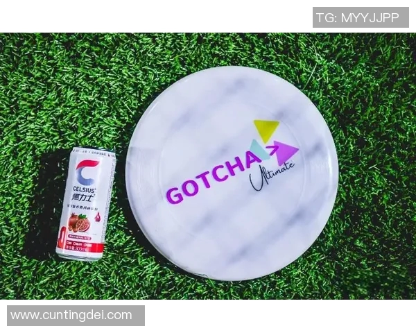 飞盘新手必看：全面解析状态入门技巧与实用指南