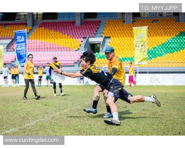 飞盘逆袭：深圳飞盘队的奋斗与荣耀之路全景纪实