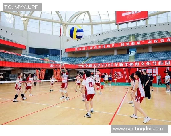上海排球队实力分析与发展潜力探讨聚焦排球未来之路 上海排球队实力分析与发展潜力探讨聚焦排球未来之路