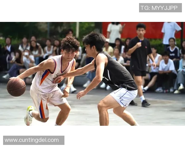 南京篮球队的拼搏之路:一段关于梦想与坚持的真实故事