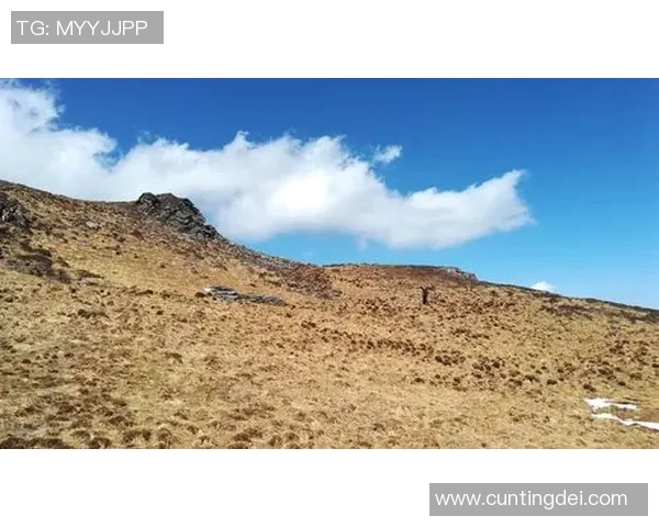 攀岩人生的深度对话:杨磊如何在高峰与挑战中找到自我 攀岩人生的深度对话:杨磊如何在高峰与挑战中找到自我