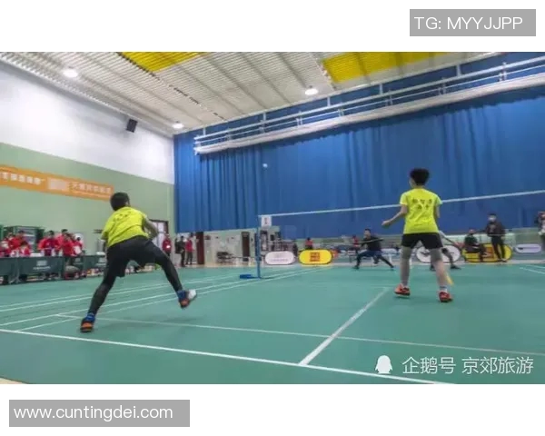 成都羽毛球队选拔赛表现分析与状态评估全面解读