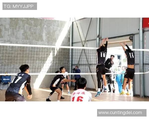 排球心理素质评比揭晓成都排球队荣登第十名引发热议