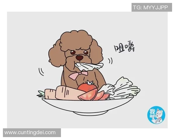 李伟独家分享篮球心得与技巧助你提升球技的全面指南