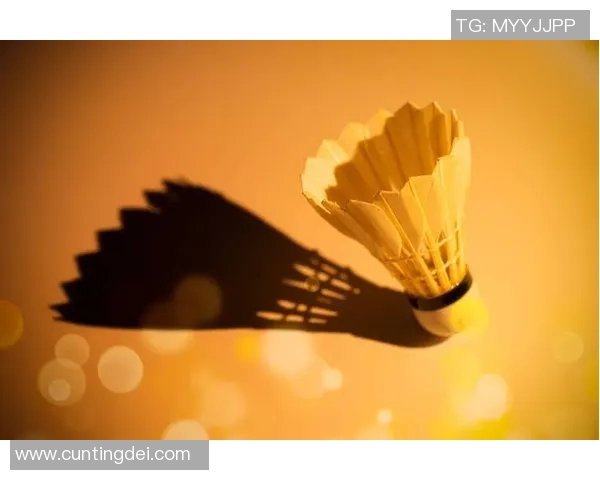 深入解析上海羽毛球队的力量表现及其对比赛成绩的影响因素分析