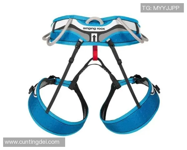 西安攀岩队心理素质探究：挑战自我与团队协作的心路历程