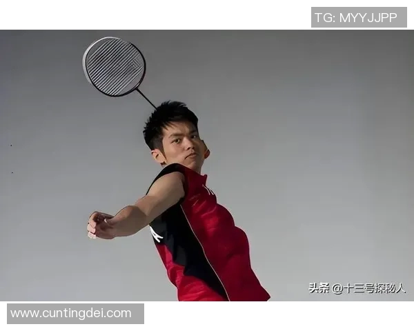 阿克尔森与林丹巅峰对决谁能在羽坛历史上书写新篇章